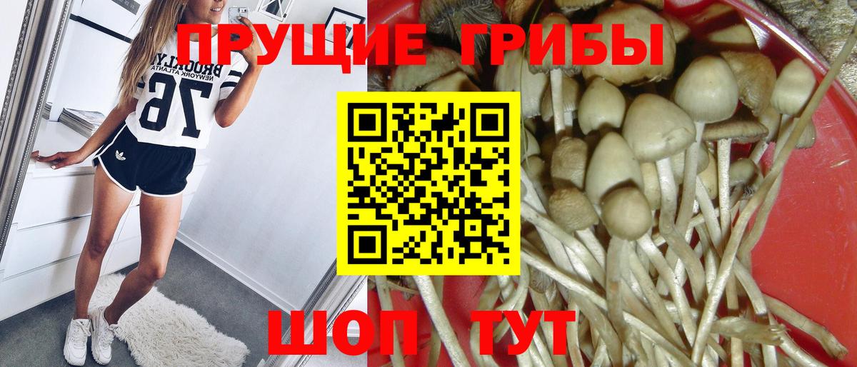 Псилоцибиновые грибы MAGIC MUSHROOMS  Псилоцибиновые грибы Psilocybine cubensis  Новочебоксарск  Вход с VPN 