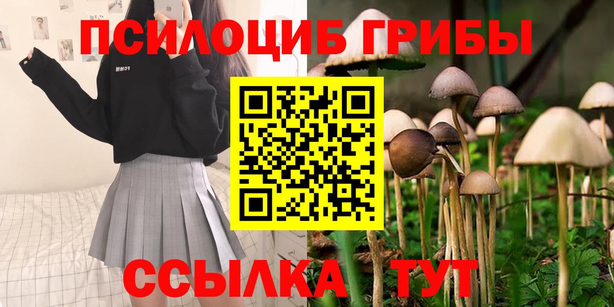 Псилоцибиновые грибы Cubensis Новочебоксарск